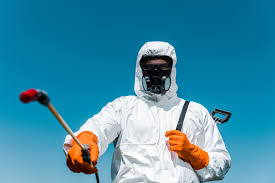 Emergency Pest Control Services in Pleasure Point, CA